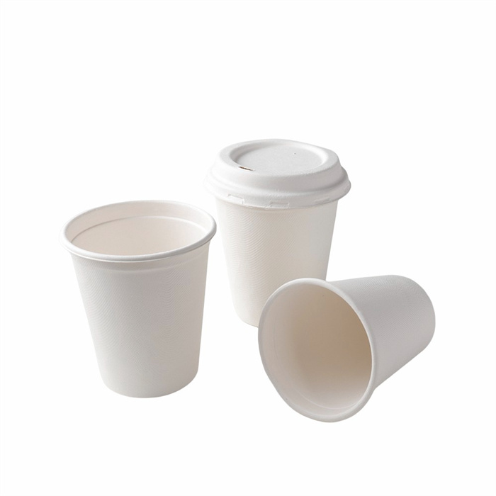  Sugarcane Bagasse Cup from mmcis china